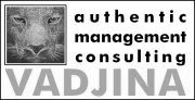 VADJINA Consulting
